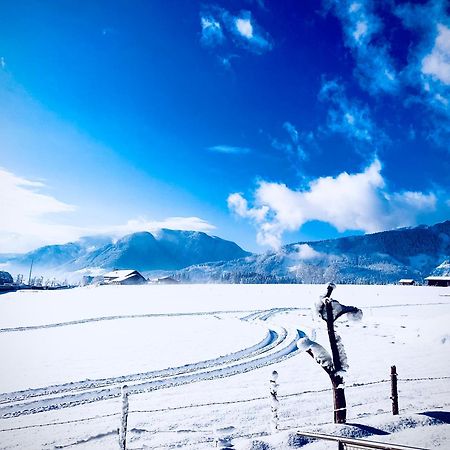 Bergblick Apartment Saalfelden ภายนอก รูปภาพ