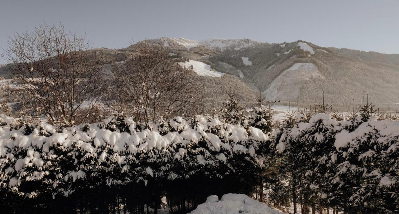 Bergblick Apartment Saalfelden ภายนอก รูปภาพ
