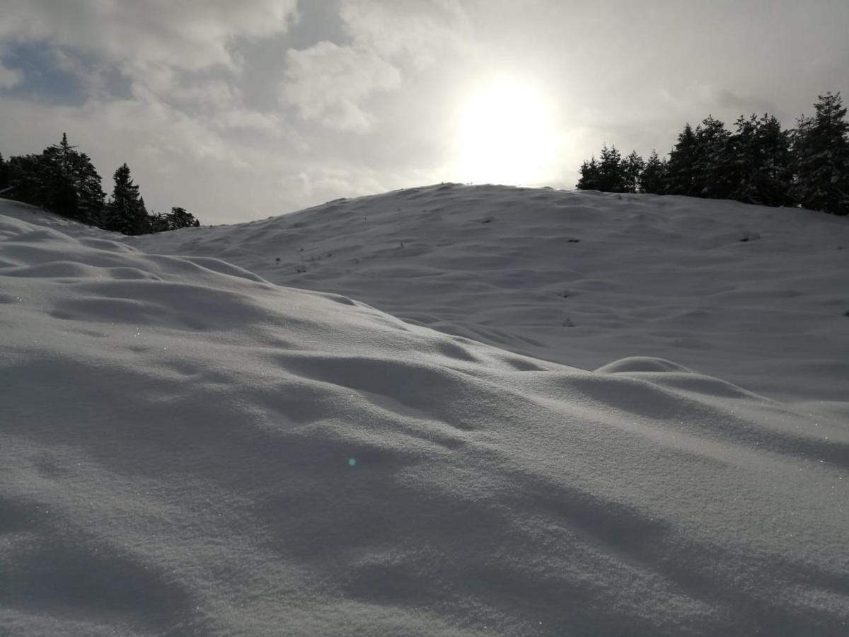 Bergblick Apartment Saalfelden ภายนอก รูปภาพ