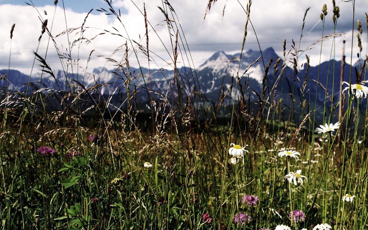 Bergblick Apartment Saalfelden ภายนอก รูปภาพ