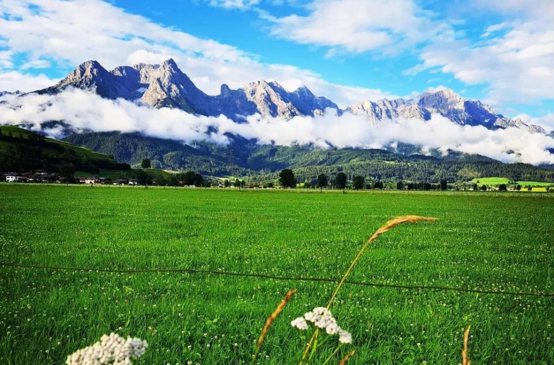 Bergblick Apartment Saalfelden ภายนอก รูปภาพ